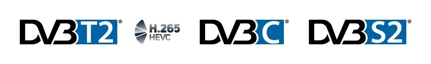 Telewizor Hyundai FLM 43TS349 SMART - wspierane standardy odbioru sygnału